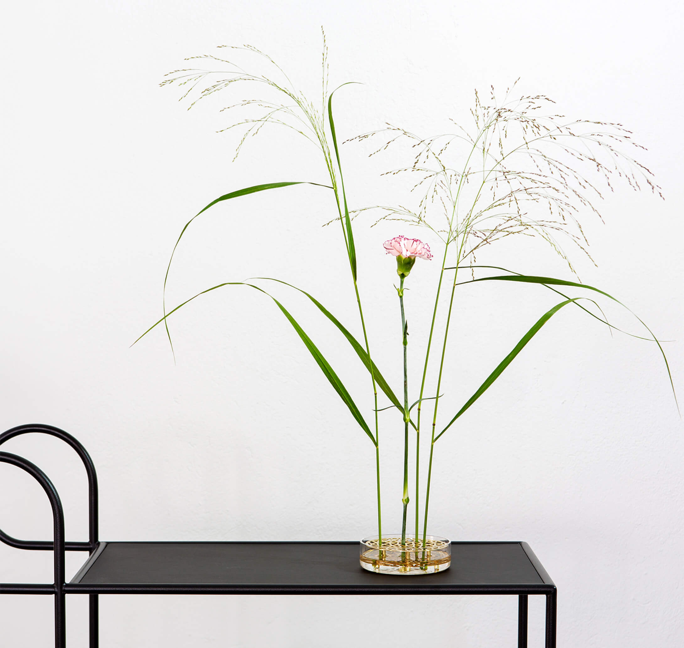 ANG VASE Pond