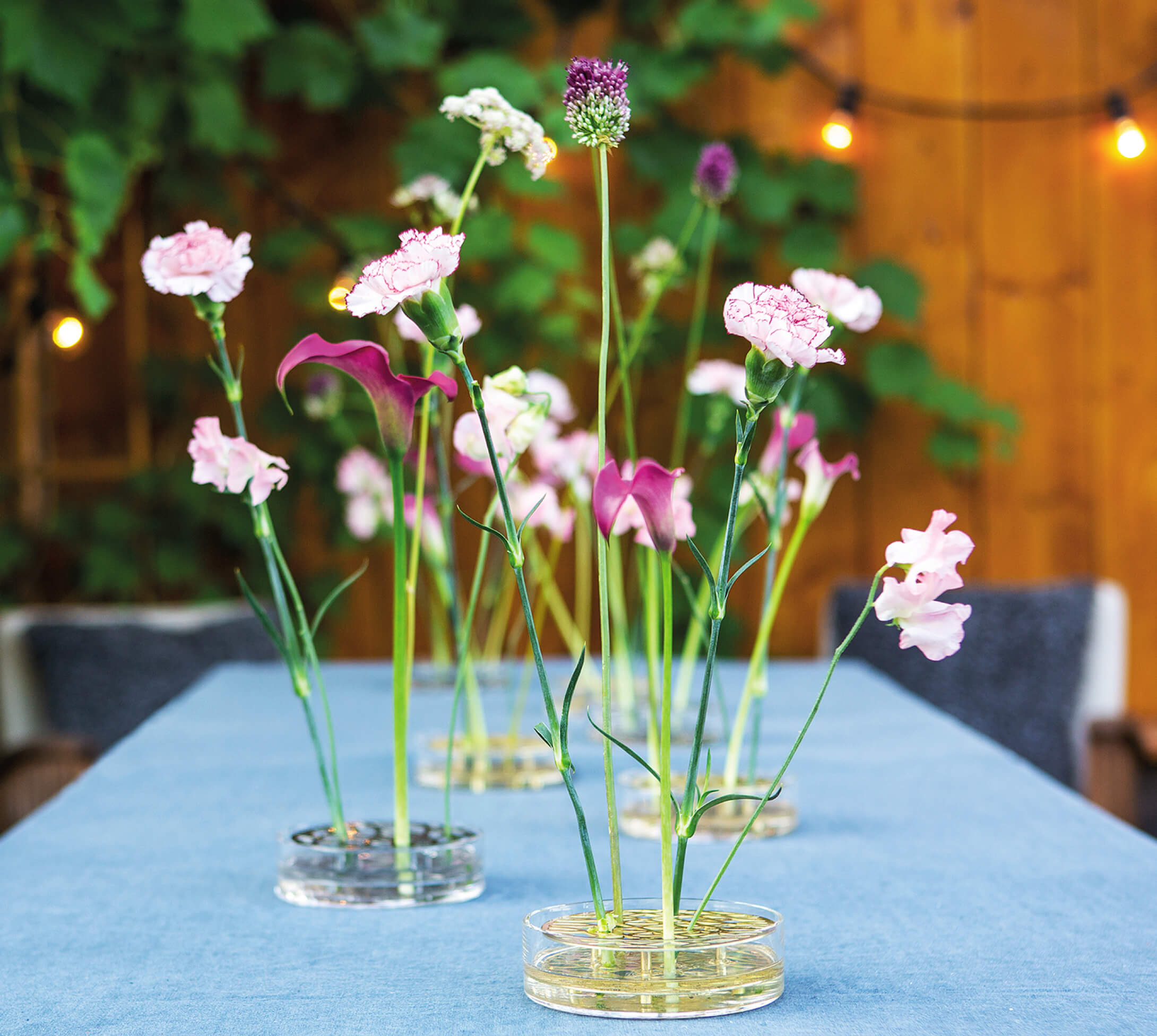 ANG VASE Pond