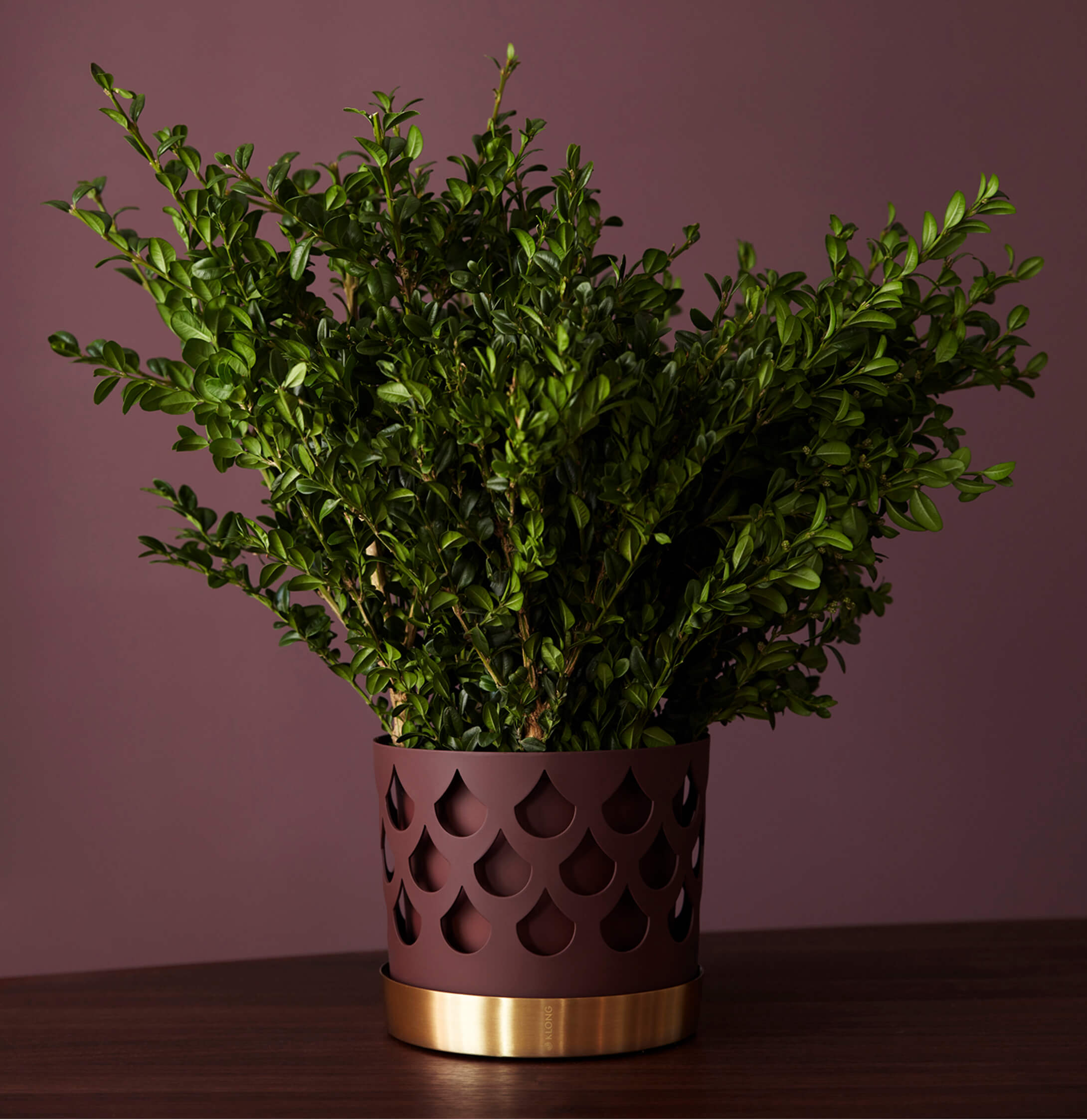 TRIO DROP FLOWER POT Medium