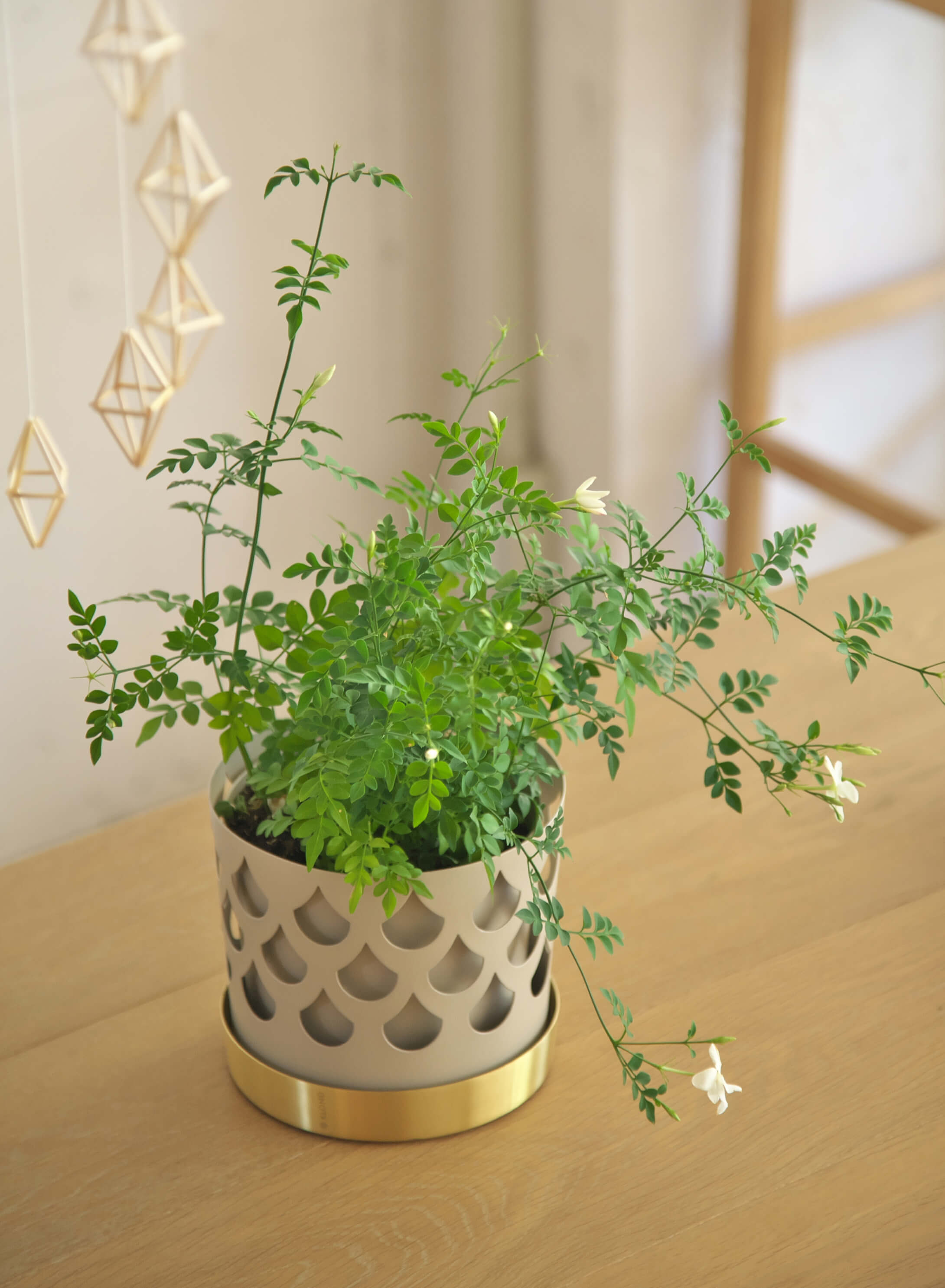 TRIO DROP FLOWER POT Medium