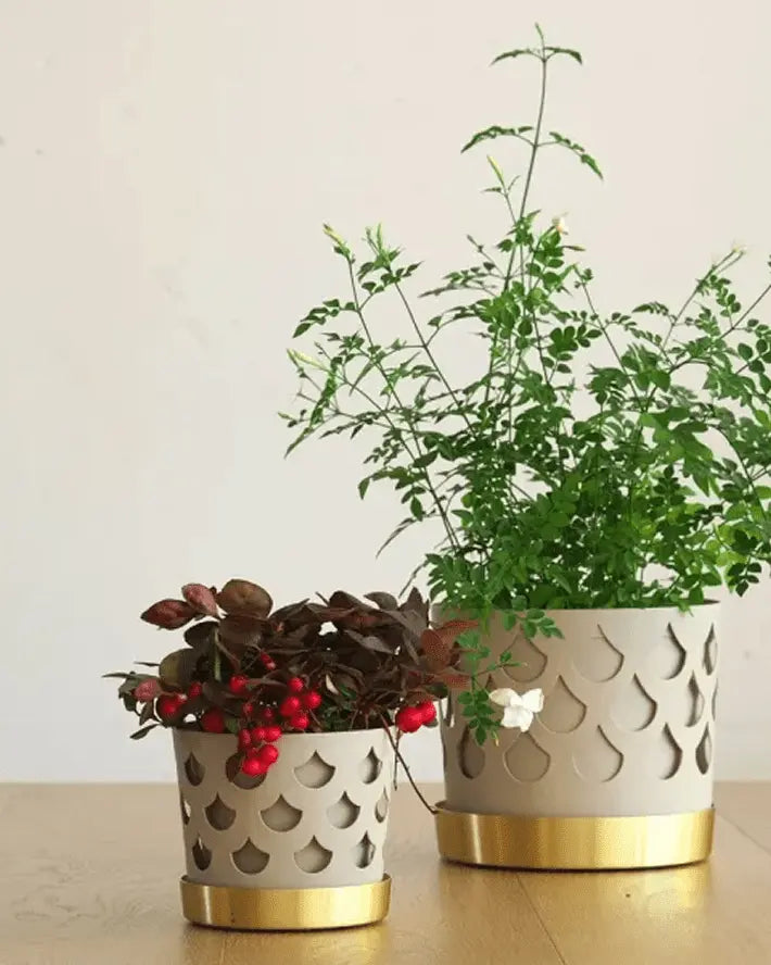 TRIO FLOWER POT
