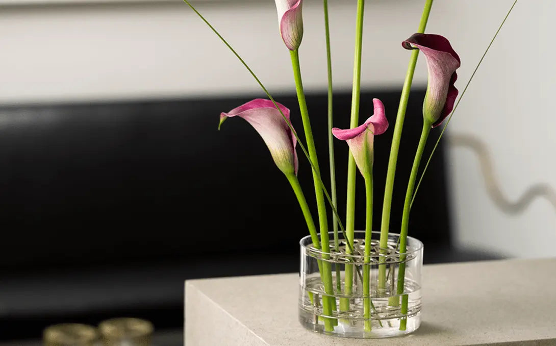 test_ANG VASE